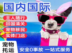漠河机场物流国际宠物托运 【国